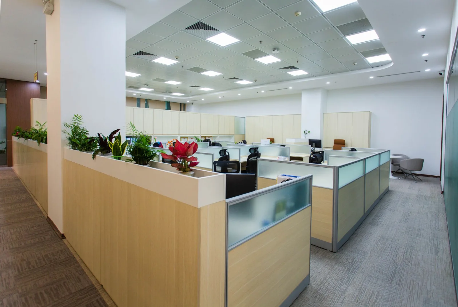 Commercial remodeling and construction by The North Group LLC